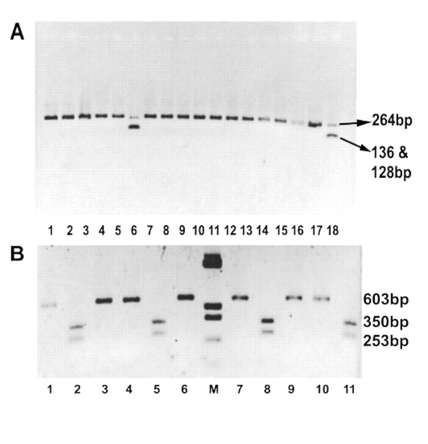 WIDESPREAD OCCURRENCE OF THE PLASMODIUM FALCIPARUM CHLOROQUINE RESISTANCE TRANSPORTER (PFCRT) GENE HA