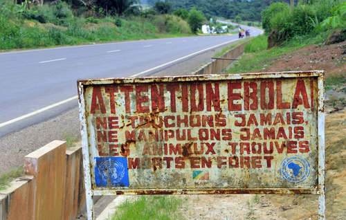 One Protein Makes Ebola Deadly. Scientists Can Turn It Off.