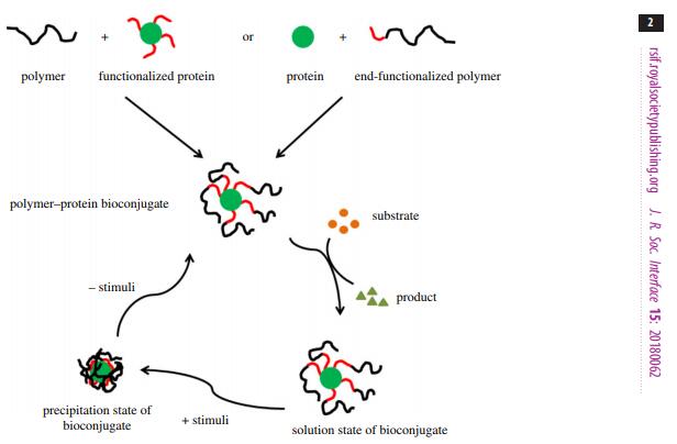 An update on smart biocatalysts for industrial and biomedical applications