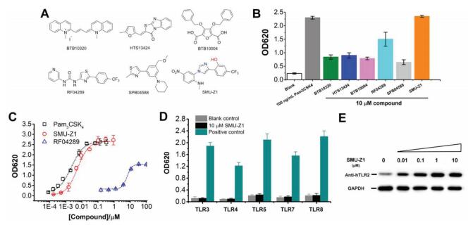 TLR1/2 Specific Small-Molecule Agonist Suppresses Leukemia Cancer Cell Growth by Stimulating Cytotoxi