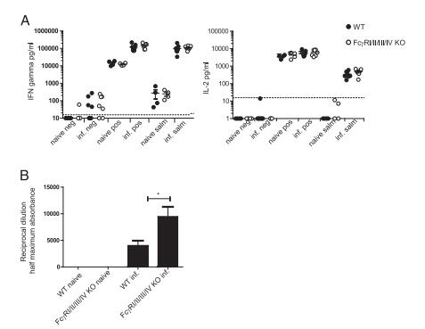 A Restricted Role for FcgR in the Regulation of Adaptive Immunity