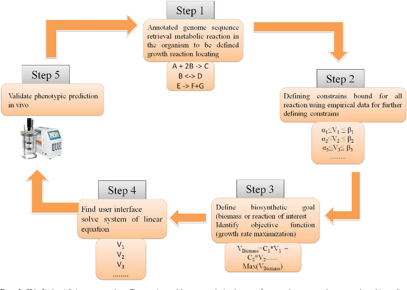 Microalgal bioengineering for sustainable energy development: recent transgenesis and metabolic engin