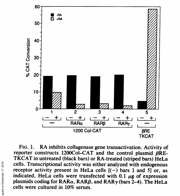 Retinoic acid is a negative regulator of AP-1-responsive genes