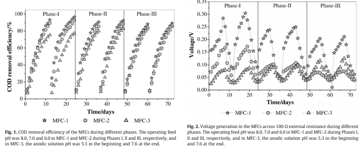 Rice mill wastewater treatment in microbial fuel cells fabricated using proton exchange membrane and 