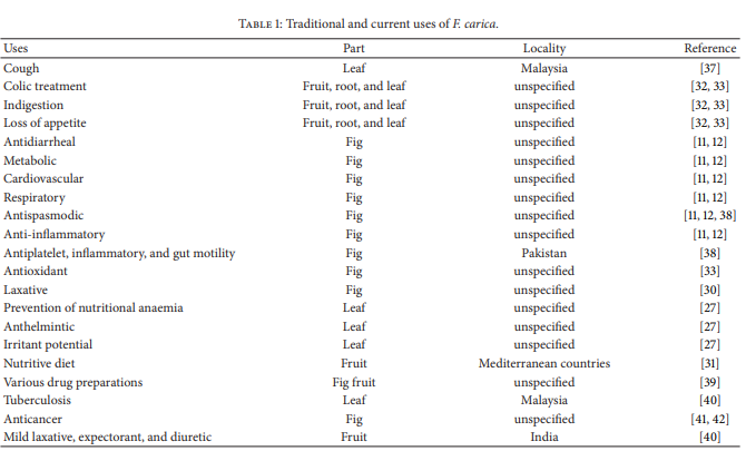 Ficus carica L.(Moraceae): phytochemistry, traditional uses and biological activities