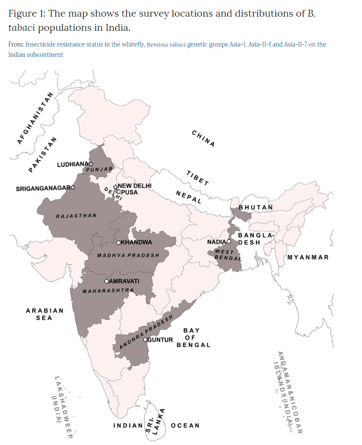 Insecticide resistance status in the whitefly, Bemisia tabaci genetic groups Asia-I, Asia-II-1 and As