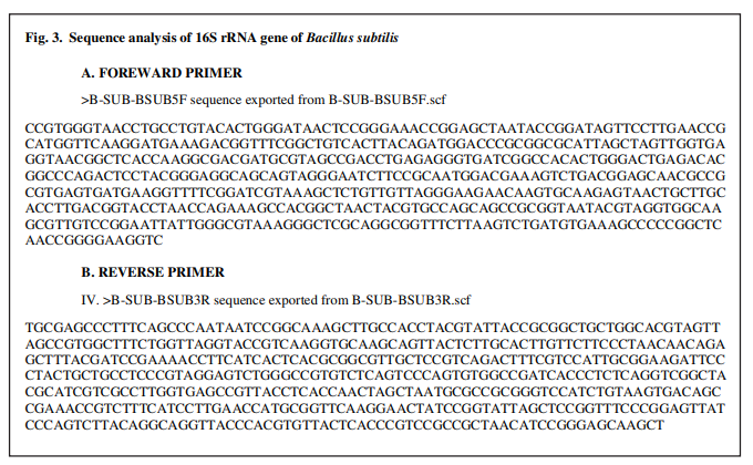 Use of 16S rRNA probes for characterization of gut microflora of silkworm (Bombyx mori L.) breeds