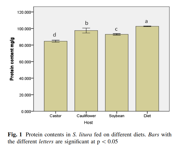 Effect of Host Plants on Insecticide Susceptibility and Detoxification Enzymes Activity in Spodoptera