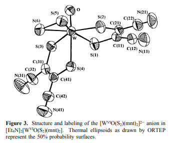 Modeling the Tungsten Sites of Inactive and Active Forms of Hyperthermophilic Pyrococcus furiosus Ald