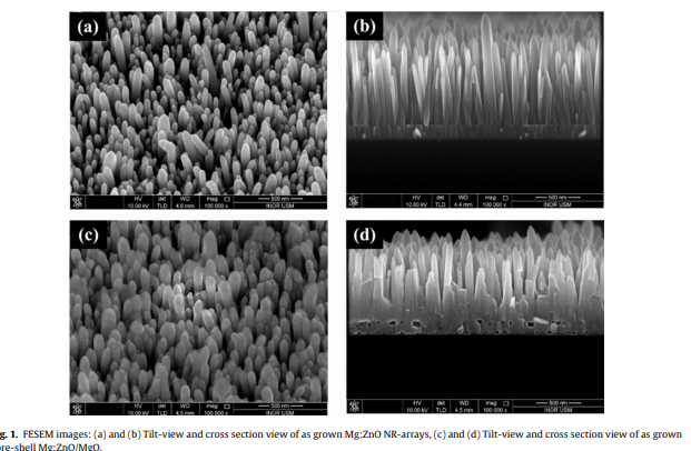 Preparation of high quality Mg doped ZnO nanorod arrays with enhanced optical properties by MgO passi