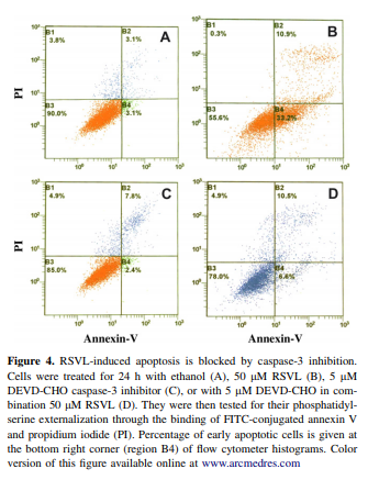 Resveratrol-induced Apoptosis in Human Breast Cancer Cells Is Mediated Primarily through the Caspase-