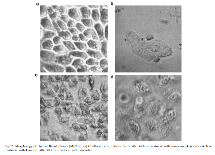 Antimicrobial activity and essential oils of Curcuma aeruginosa, Curcuma mangga, and Zingiber cassumu