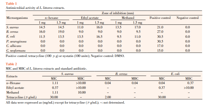 Antimicrobial activity of mangrove plant (Lumnitzera littorea)