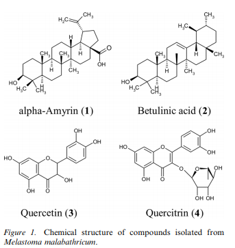 Anti-inflammatory Action of Components from Melastoma malabathricum.