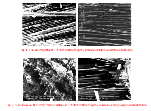 Physical, Mechanical and Thermal Properties of Jute and Bamboo Fiber Reinforced Unidirectional Epoxy 