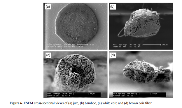 Physical and mechanical properties of jute, bamboo and coir natural fiber