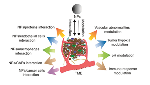 Highly active nanoreactors for regulating tumor microenvironment and antitumor therapy